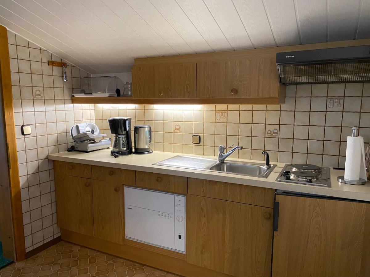 Haus Aichmann Apartment Schladming Luaran gambar